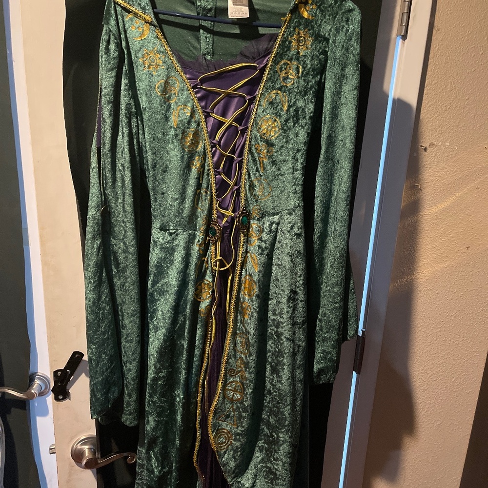 Winfred Hocus Pocus Costume